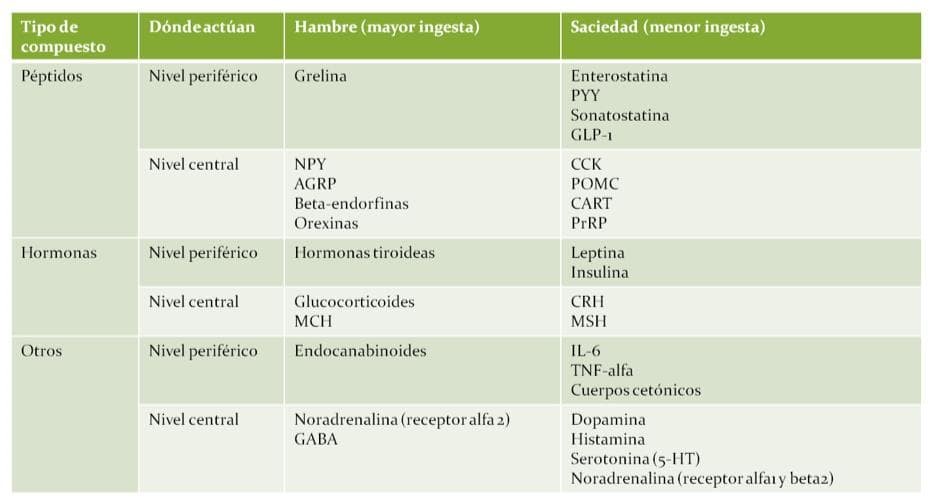 Hambre Emocional y Alimentación en Cuarentena - Imagen 1