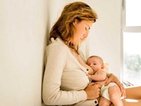  Lactancia materna: ley de la oferta y la demanda